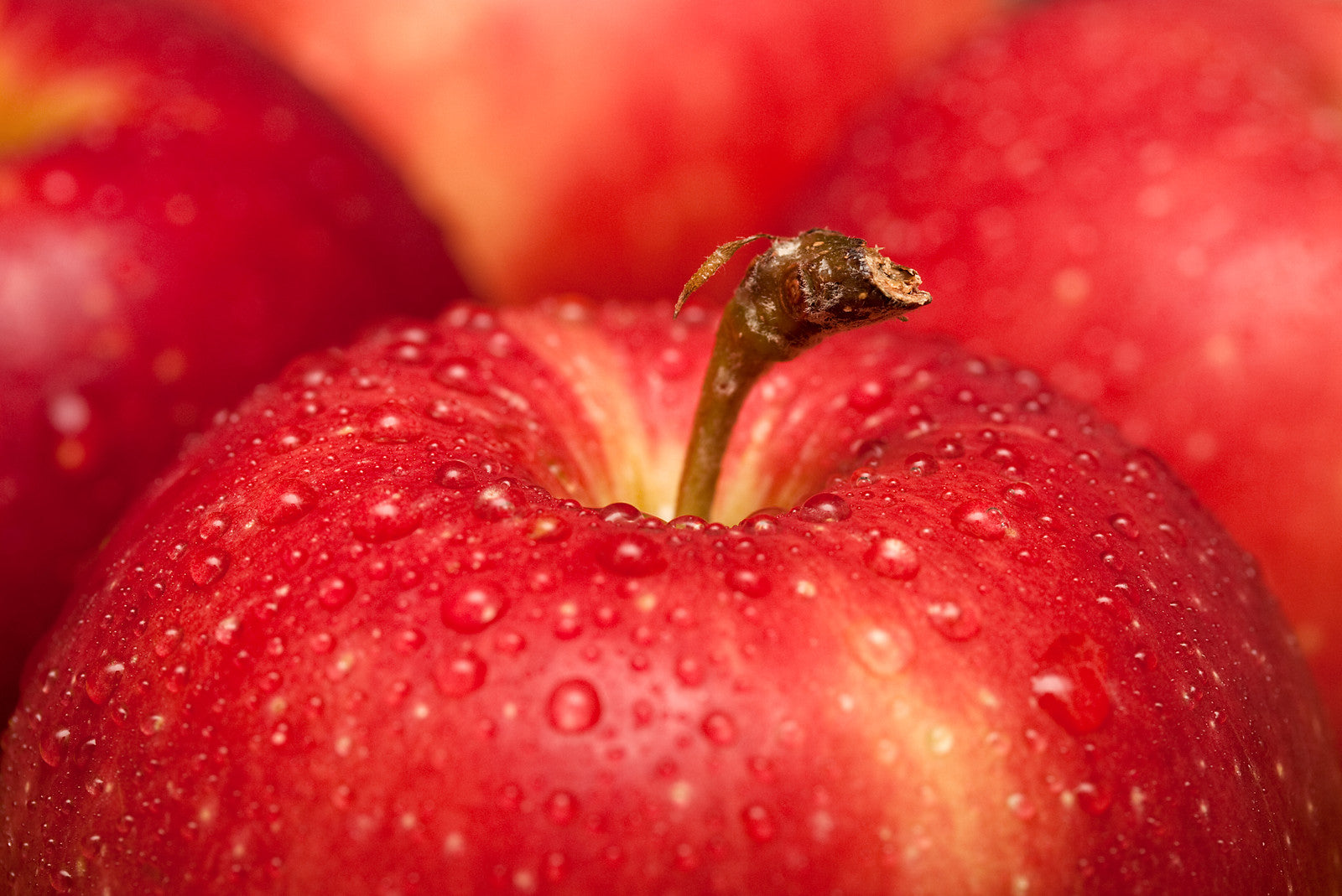 A close-up image of fresh Macintosh apples with water droplets on their surface.